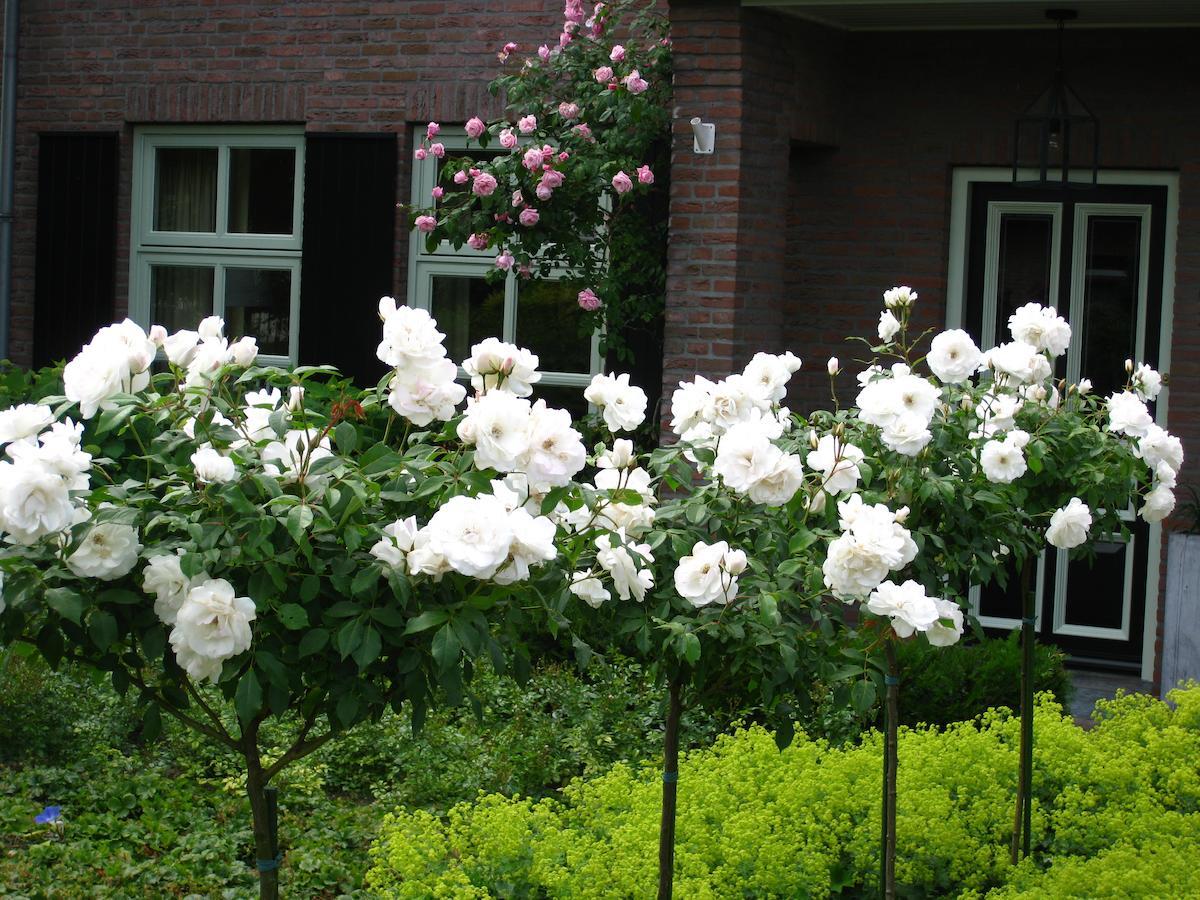 B&B Aan De Burgt Boekel Extérieur photo